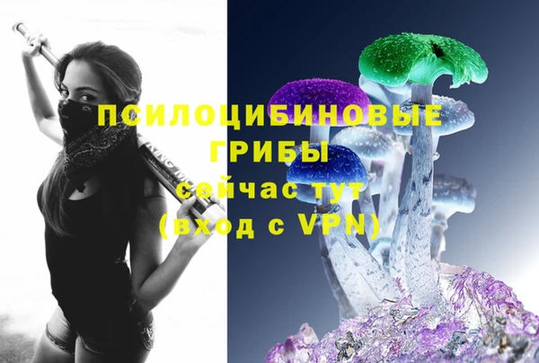 спиды Белокуриха